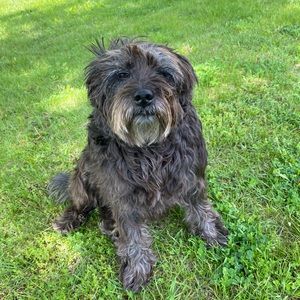 Meet your Posher, Talia